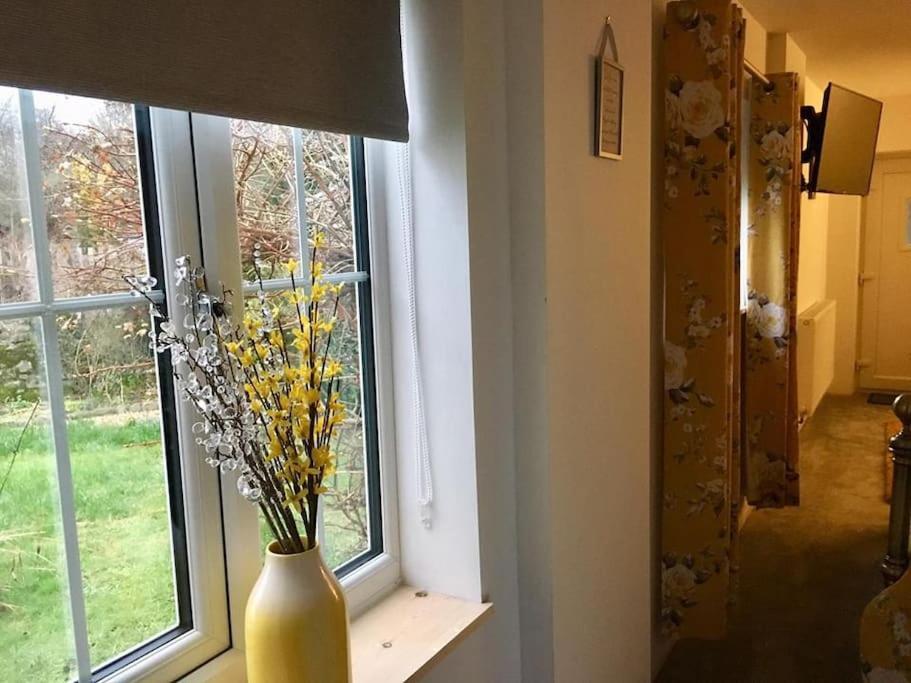 Daffodil House , West Wales Llandovery Extérieur photo